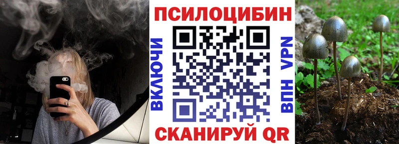 Купить Артёмовск Галлюциногенные грибы ЛСД